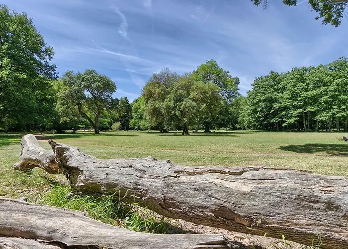 Apartment Wellness Kaiser Pula